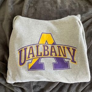 UAlabany champion hoodie